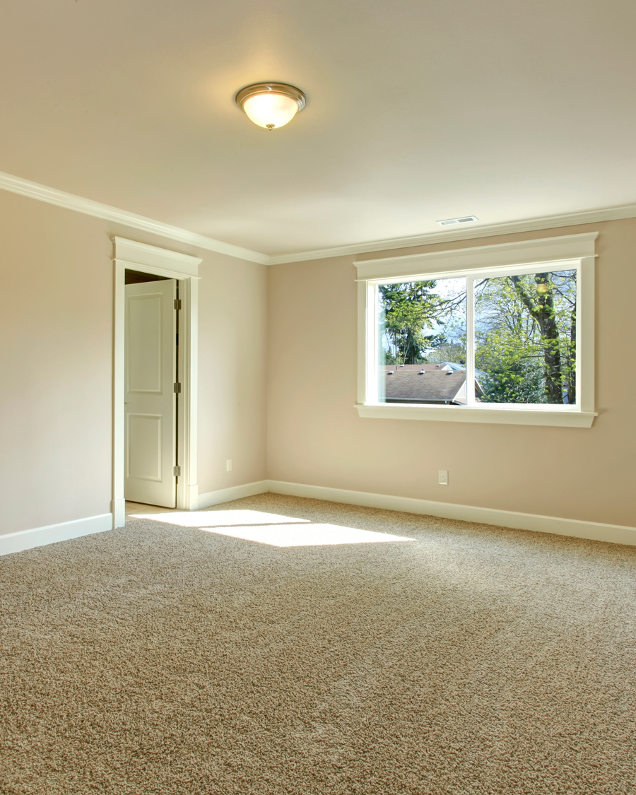 How to Save a Waterlogged Carpet Shark Cleaning Hacks