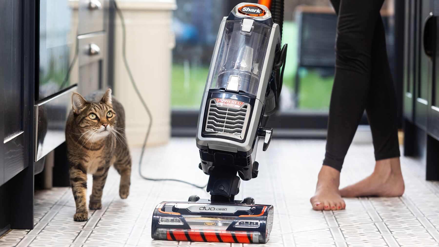 Why are cats scared of vacuum cleaners? Shark Cleaning Hacks