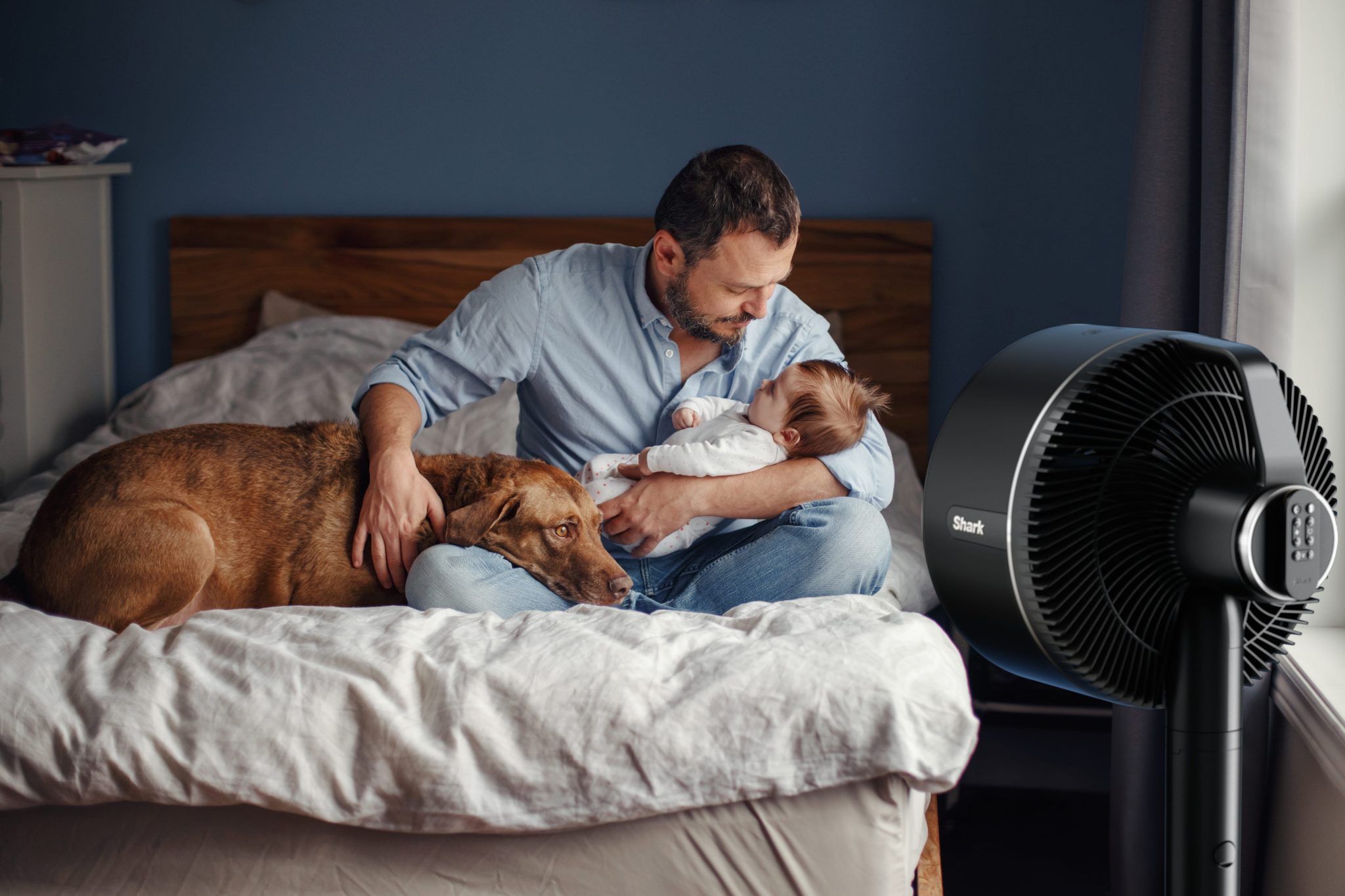 How to cool down a room quickly for your family and pets